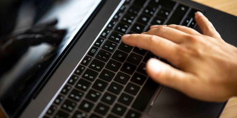 «Ein grosser Gewinn für die Bürgerinnen und Bürger - und ein Meilenstein auf dem Weg zum digitalen Staat.»