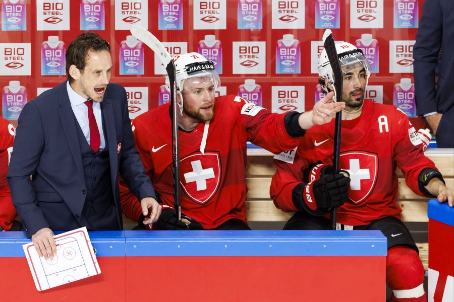 Schweiz Fischer Eishockey WM