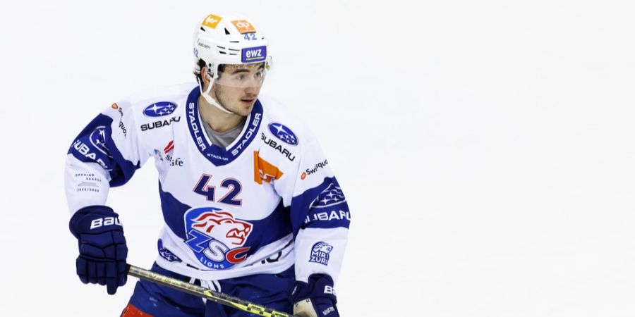eishockey wm national league