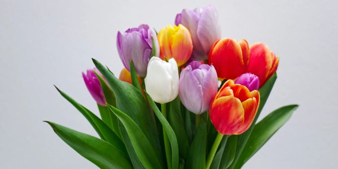 Blumenstrauss - Diese Blumen passen besonders gut zum Muttertag