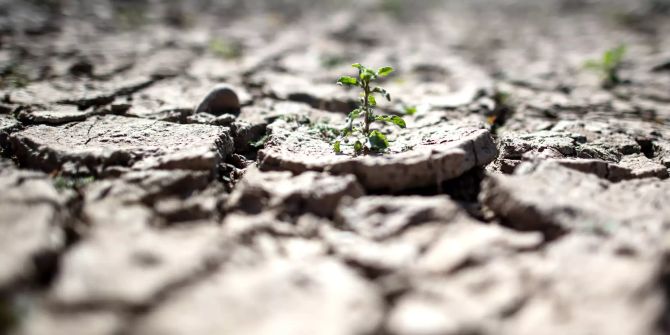 Klimawandel Gesundheit