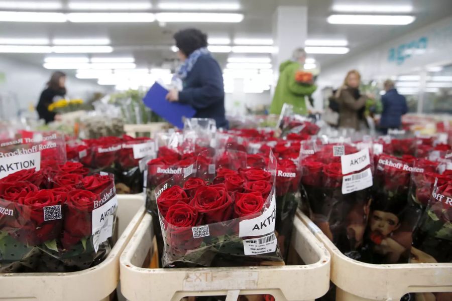 Rosen am Valentinstag.