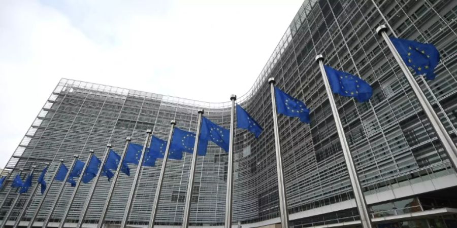 EU-Fahnen