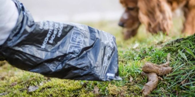 Ein Hundekot führte in den USA zu einer Schiesserei. Hundekot