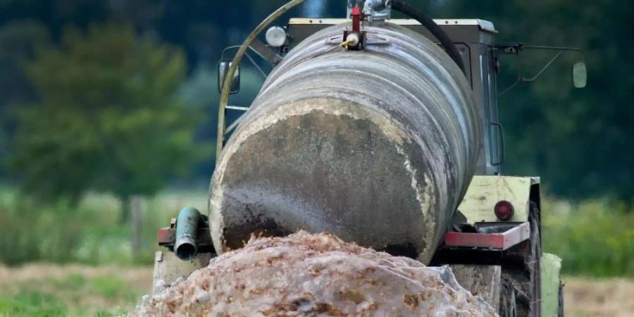 Ein Bauer beim Ausbringen von Gülle auf einem Feld im Oderbruch. Foto: Patrick Pleul/zb/dpa