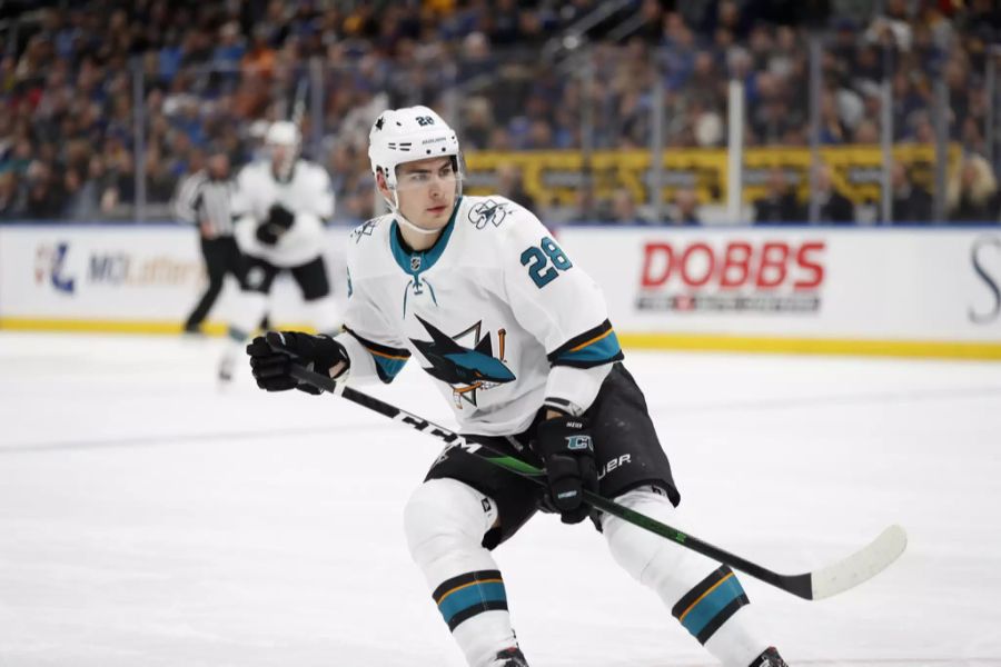 Timo Meier ist für die San Jose Sharks unverzichtbar geworden.