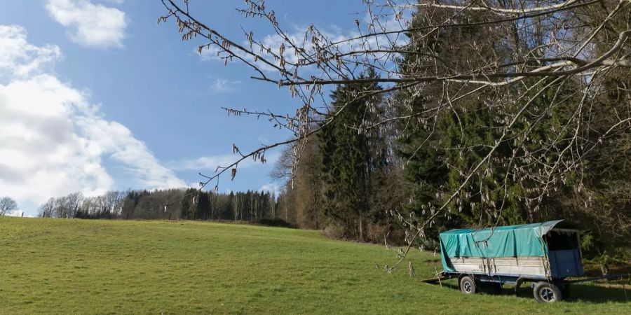 Landwirtschaft bei Hilfikon in Villmergen.
