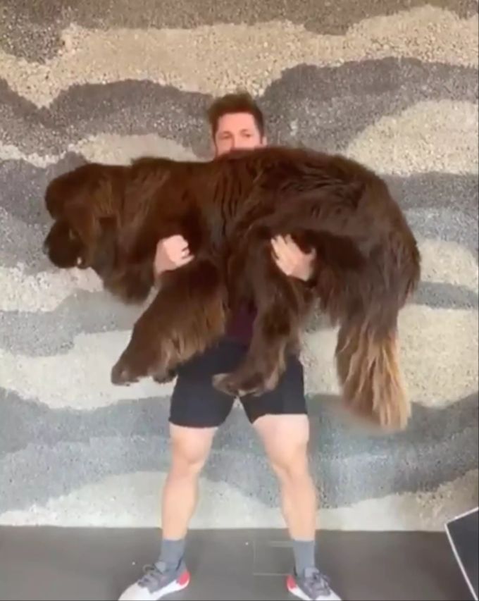 Geschafft: Marcel Hirscher stemmt seinen Hund Pumba in die Höhe. Marcel Hirscher