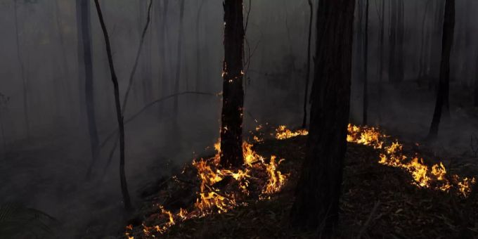 Waldbrand.