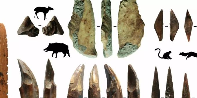 Werkzeuge aus Knochen und Zähnen sind Teil archäologischer Funde, die auf Sri Lanka gemacht wurden. Foto: M. C. Langley/dpa Werkzeuge aus Knochen und Zähnen sind Teil archäologischer Funde, die auf Sri Lanka gemacht wurden. Foto: M. C. Langley/dpa