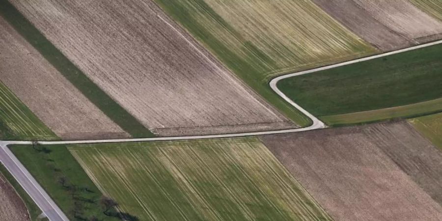 Die intensive Landwirtschaft in Deutschland nimmt immer mehr Tieren den Lebensraum. Foto: Uli Deck/dpa