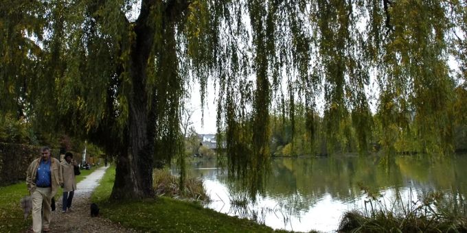 Menschen spazieren am Egelsee entlang. (Symbolbild) schulhaus und kindergarten wyssloch