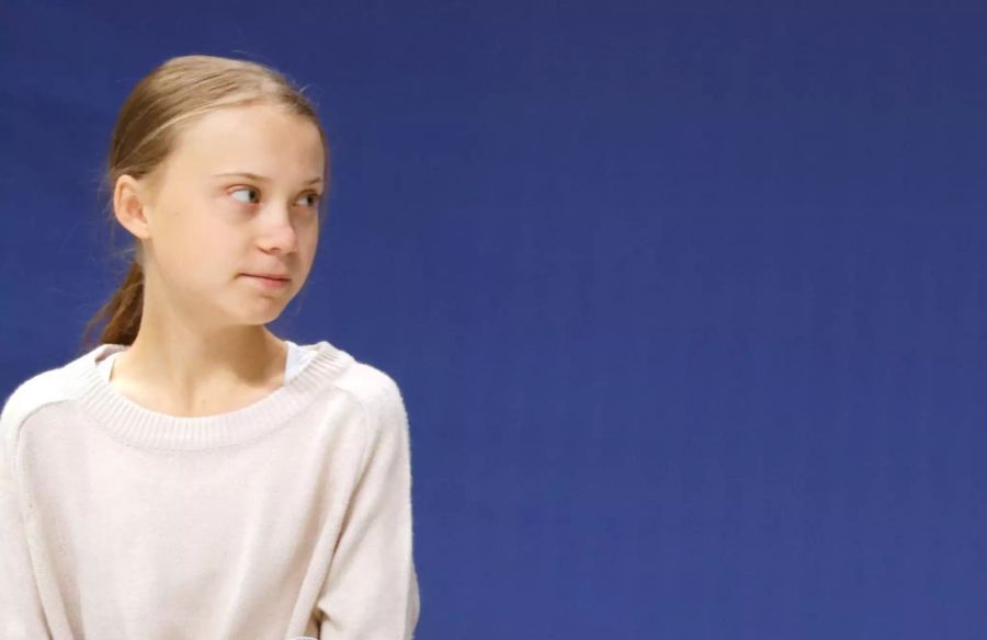 Greta Thunberg und Luisa Neubauer appellieren an EU