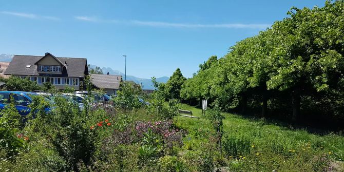Mustergarten