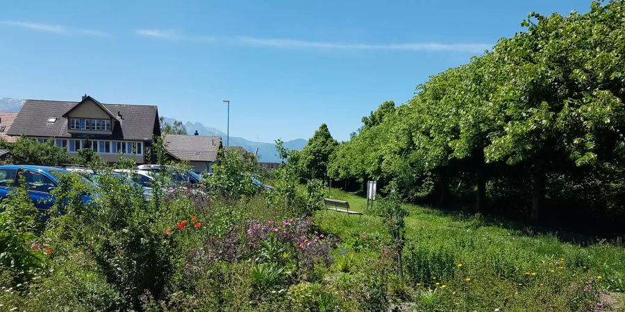 Mustergarten
