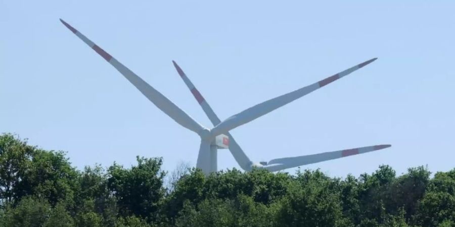 Windräder stehen hinter einem Wäldchen und einem blühenden Rapsfeld. Foto: Roland Holschneider/dpa