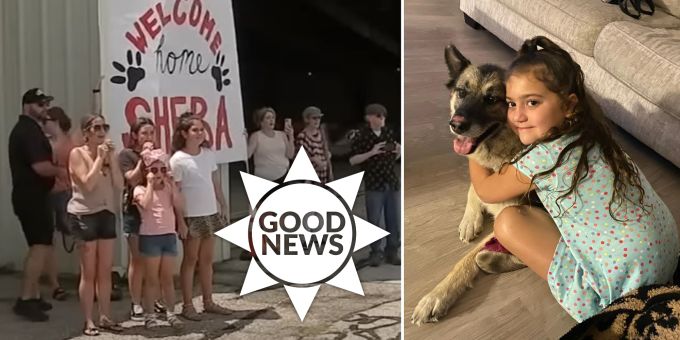 Goodnews - Entführte Hündin nach fünf Jahren wieder mit Familie vereint