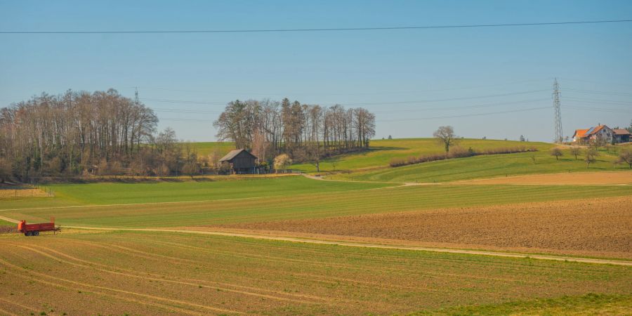 Landwirtschaft bei Guntalingen im Zürcher Weinland.