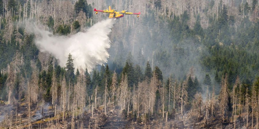 Ein italienisches Löschflugzeug bekämpft einen Waldbrand am Brocken.