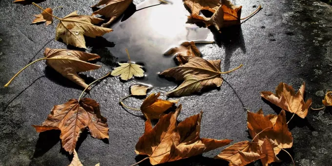 Herbstanfang 2019 Astronomischer Herbst Bringt Kuhles Wetter