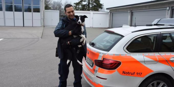 In Oberbüren SG kam es heute zu Stau wegen eines entlaufenen Hundes. polizei st. gallen