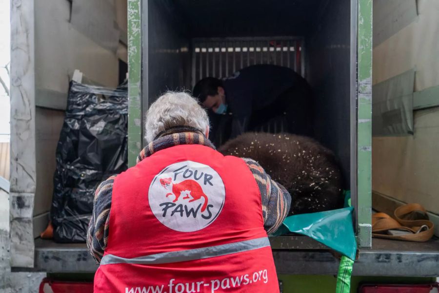 Die Rettungsaktion wurde gut vorbereitet und läuft seit Dienstagmorgen.