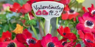 Konsum zurückhaltender - Rekorde dürften am Valentinstag 2024 ausbleiben Konsum zurückhaltender - Rekorde dürften am Valentinstag 2024 ausbleiben