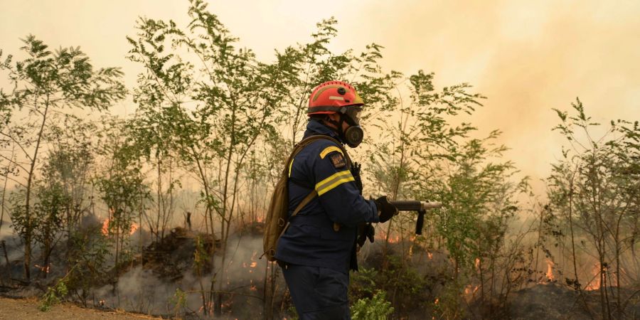 Das gewaltige Ausmass der Wald- und Buschbrände in Griechenland diesen Sommer ist nach Ansicht von Ministerpräsident Mitsotakis vor allem auf den Klimawandel zurückzuführen.