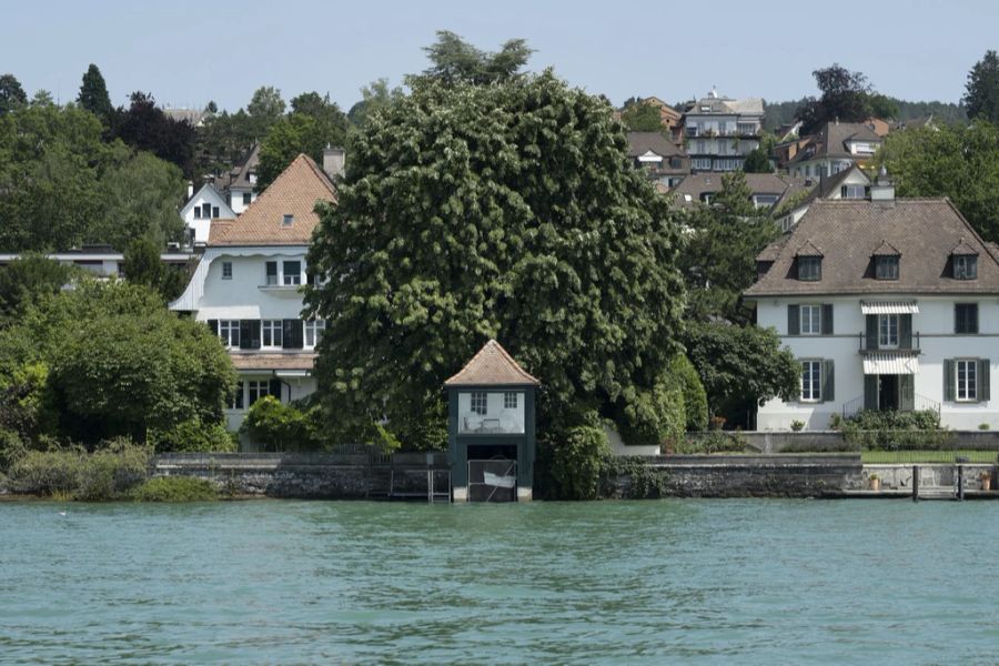 Zürichsee Seeanstoss Zollikon