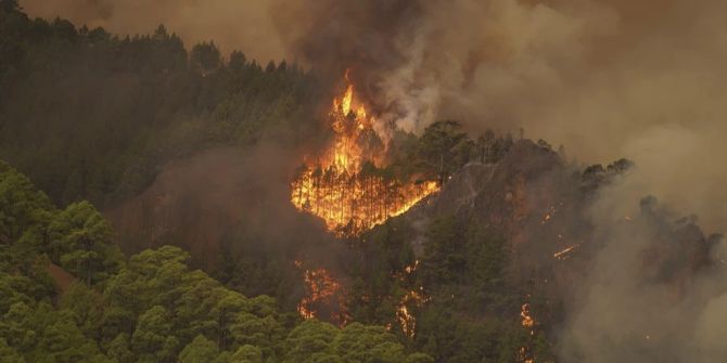 Waldbrand Teneriffa