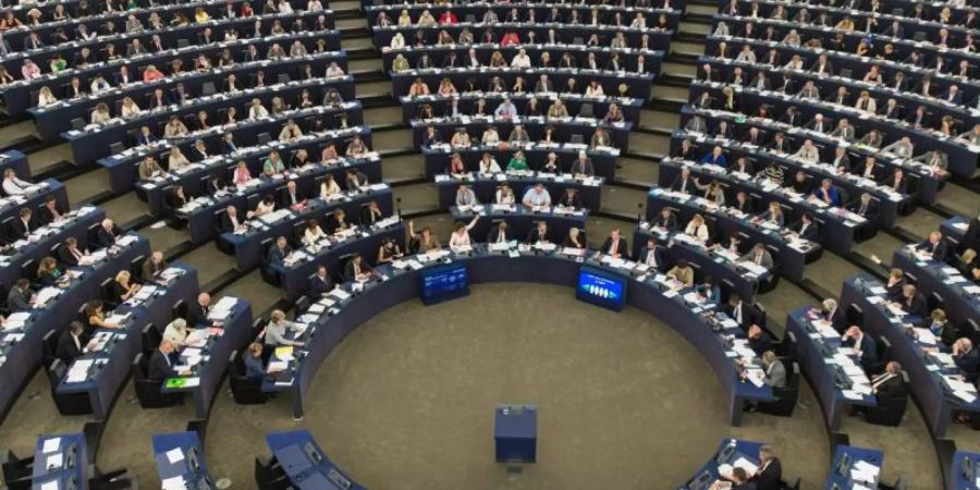 Das Europäische Parlament in Strassburg: Vom 23. Mai an werden die Abgeordneten neu gewählt. Foto: Patrick Seeger