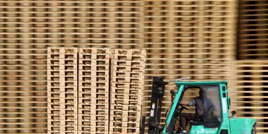 Ein Mann fährt mit einem Gabelstapler an Holzpaletten vorbei. Foto: Jens Büttner