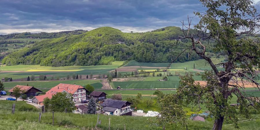 Blick auf das Gürbetal und den Belpberg bei Kaufdorf.