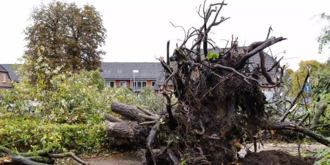 Schäden durch einen Tornado. In Klausdorf, einem Stadtteil von Schwentinental bei Kiel, hat ein Tornado schwere Schäden verursacht. Foto: Frank Molter/dpa Schäden durch einen Tornado. In Klausdorf, einem Stadtteil von Schwentinental bei Kiel, hat ein Tornado schwere Schäden verursacht. Foto: Frank Molter/dpa