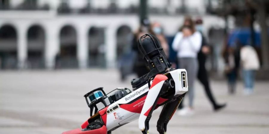 Der Roboter «Spot». Die mit ihren laufenden Robotern bekanntgewordene Firma Boston Dynamics gehört nun dem südkoreanischen Autobauer Hyundai. Foto: Daniel Reinhardt/dpa