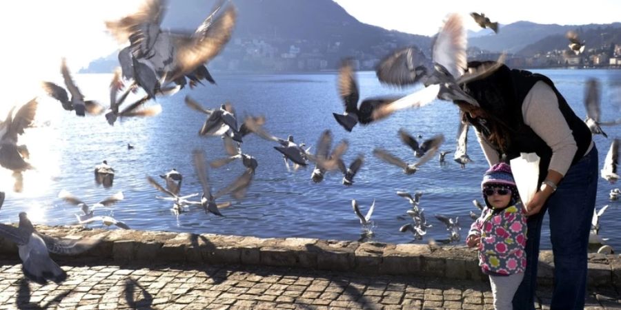 Menschen füttern Wildvögel im Parco Ciani am Luganersee im Tessin. (Archivbild)