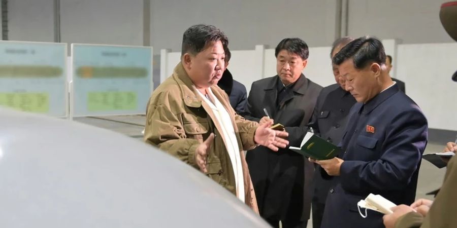 Nordkoreas Machthaber Kim auf einem offiziellen Foto der staatlichen Nachrichtenagentur KCNA