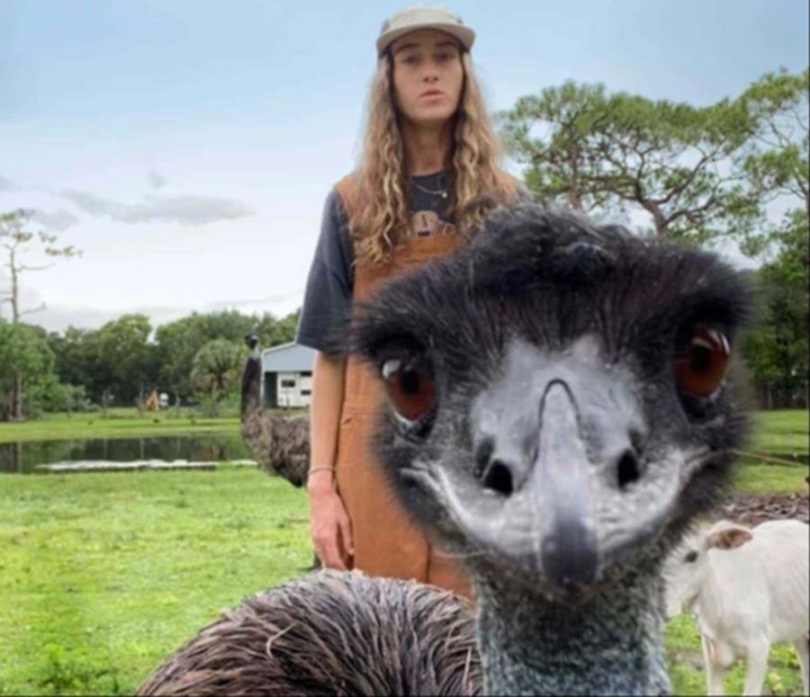 Der vorwitzige Emu «Emmanuel» ist ein TikTok-Star. Um den verdeckten Journalisten seine Möglichkeiten zu beweisen, hat «Team Jorge» während des Gesprächs den Hashtag #rip_emmanuel erfunden.