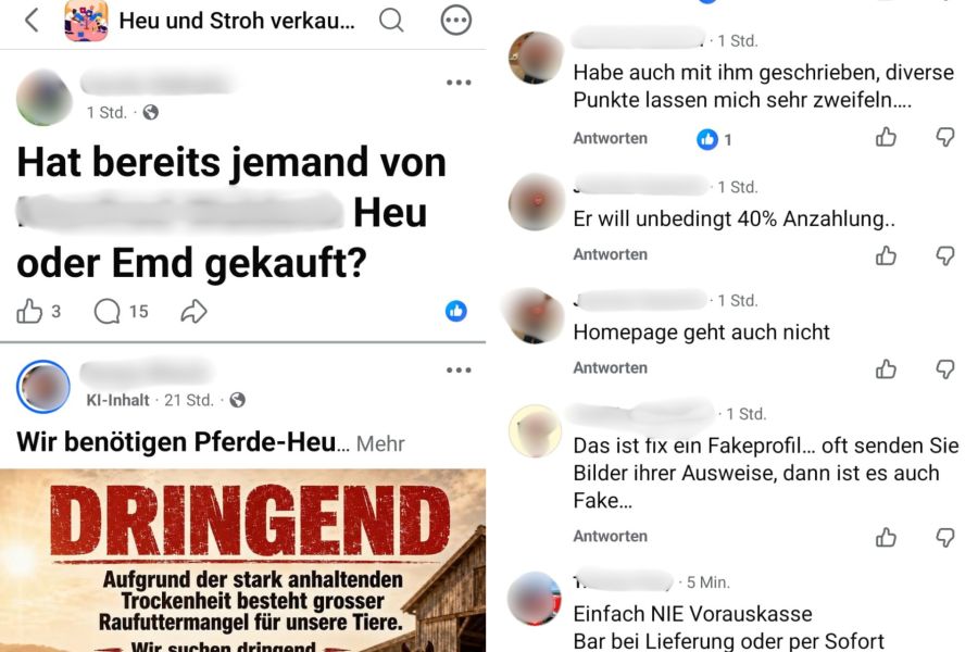 bauern betrug heu stroh