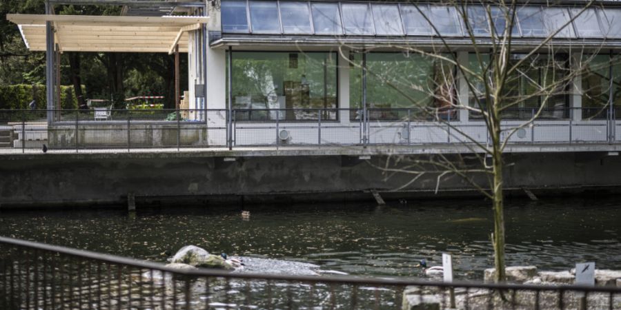 Die Voliere im St. Galler Stadtpark gilt als Zeitdokument des «Neuen Bauens» und ist denkmalgeschützt. (Archivbild)