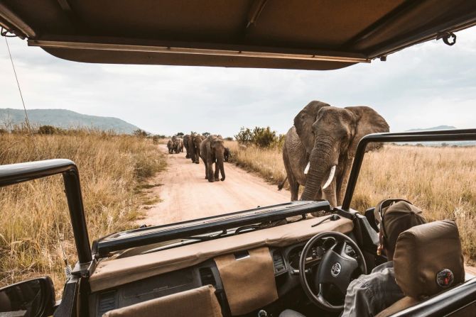 Touristen Safari