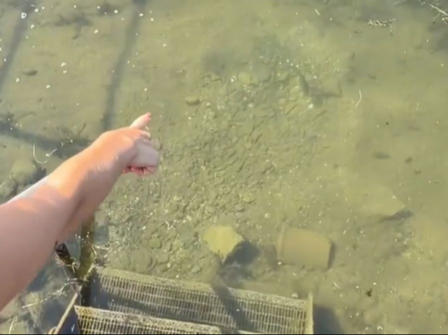 Doch sobald man einen Fuss ins Wasser setzte, kam ein Fisch angeschwommen.