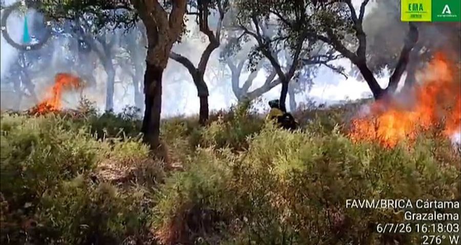 Waldbrand Spanien