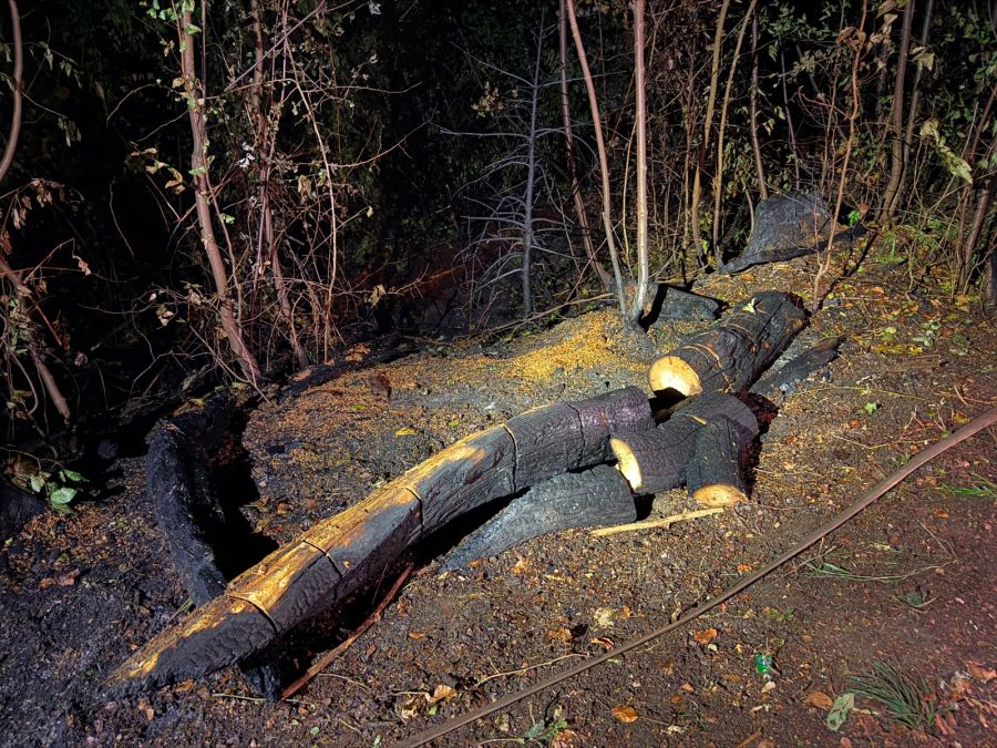 Nachdem der Waldbrand in Möriken AG noch vor Mitternacht gelöscht werden konnte, laufen nun die Aufräumarbeiten.