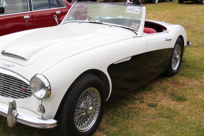Austin Healy