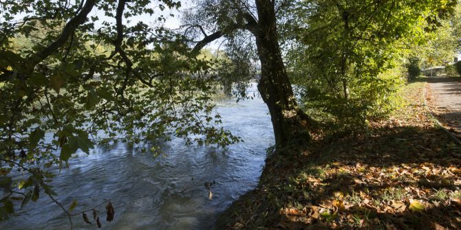Aare