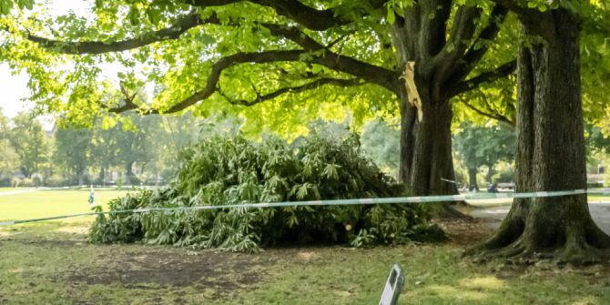Schützenmattpark