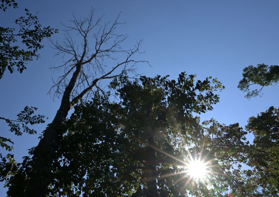 Vielerorts zeigt das Thermometer über 30 Grad an.