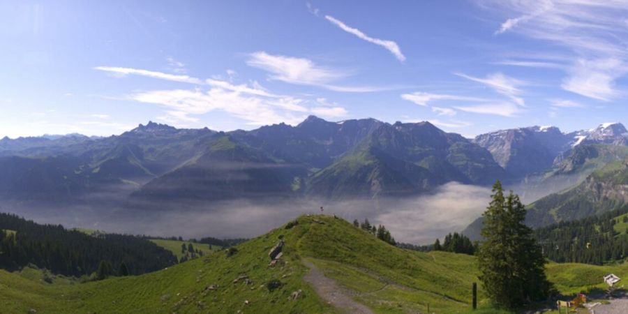braunwald