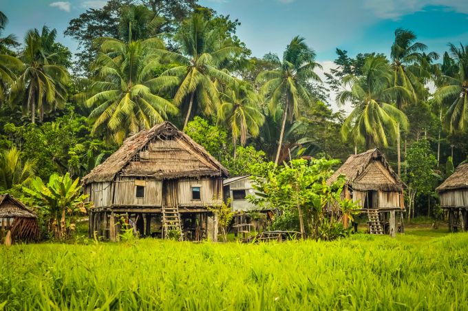 Das Reserve soll auch die indigenen Völker schützen. Hier ein Haus in Palembe, Papua-Neuguinea. Indigenes Haus in Palembe